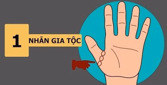 Ngua long ban tay, thay co dac diem nay sung suong den gia