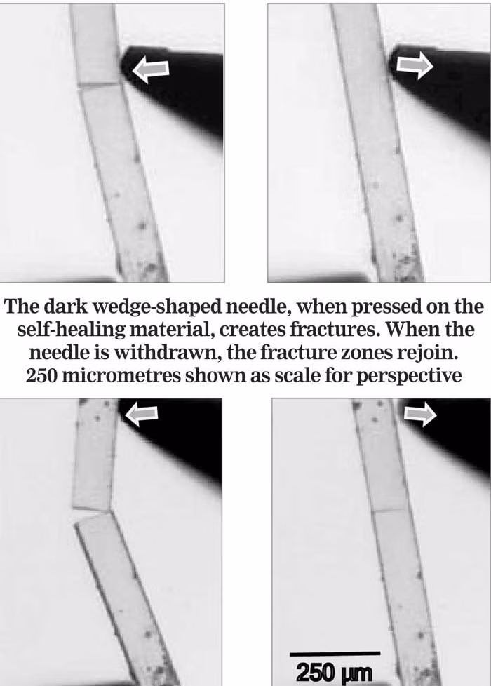Màn hình smartphone tương lai có thể tự liền lại khi bị nứt vỡ ảnh 2