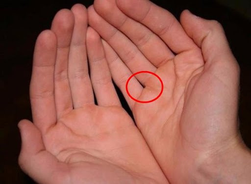 Nhìn vào khe hở giữa các ngón tay để biết tài vận - Hình 2 Nhin vao khe ho giua cac ngon tay de biet tai van-Hinh-2