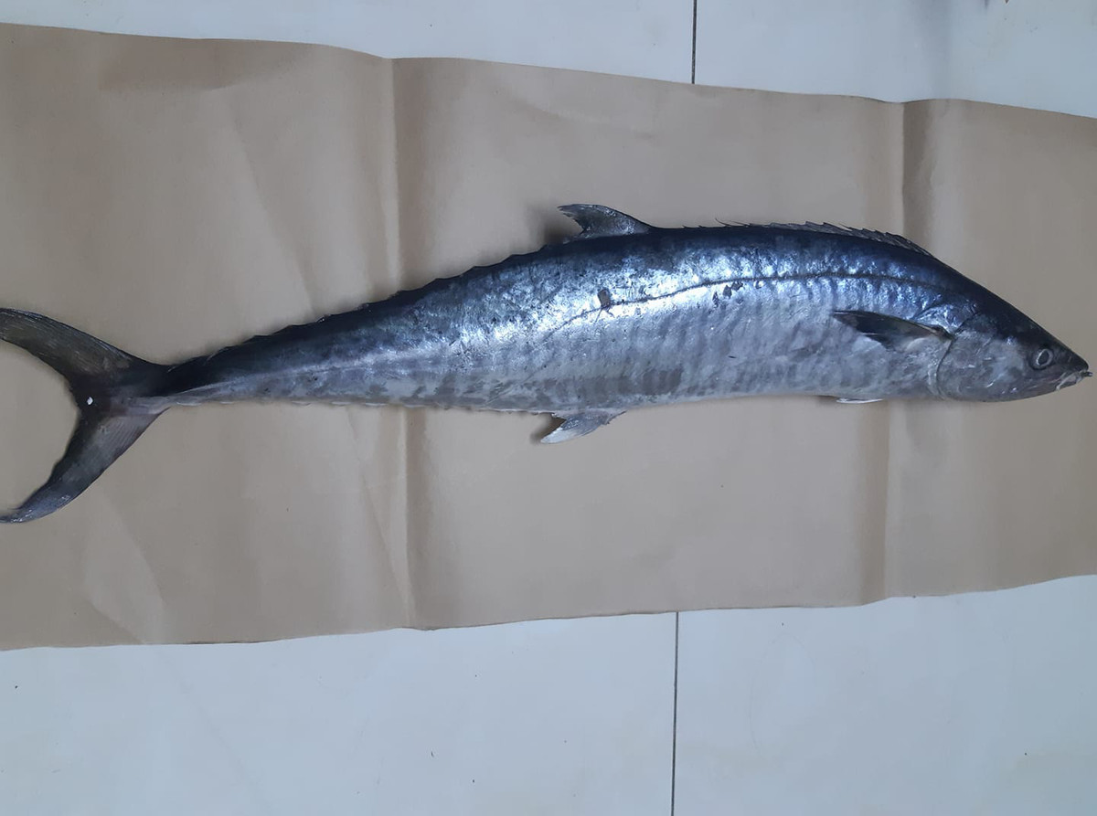 Chu hang hai san mach cach chon ca thu tuoi khong bi uop dam-Hinh-4