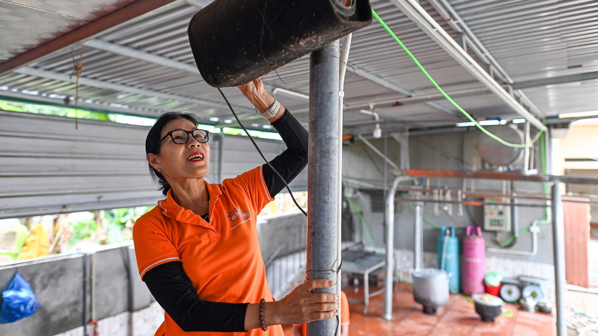 Tôi còn cho lợn nghe nhạc Pháp, dòng nhạc có giai điệu rất tuyệt vời, êm ái, sâu lắng… sẽ giúp cho đàn lợn xả stress rất hiệu quả và nâng cao chất lượng thịt. Hiện thịt lợn sạch từ trang trại của tôi đã có mặt tại một số chuỗi cửa hàng, siêu thị lớn trên địa bàn Hà Nội.