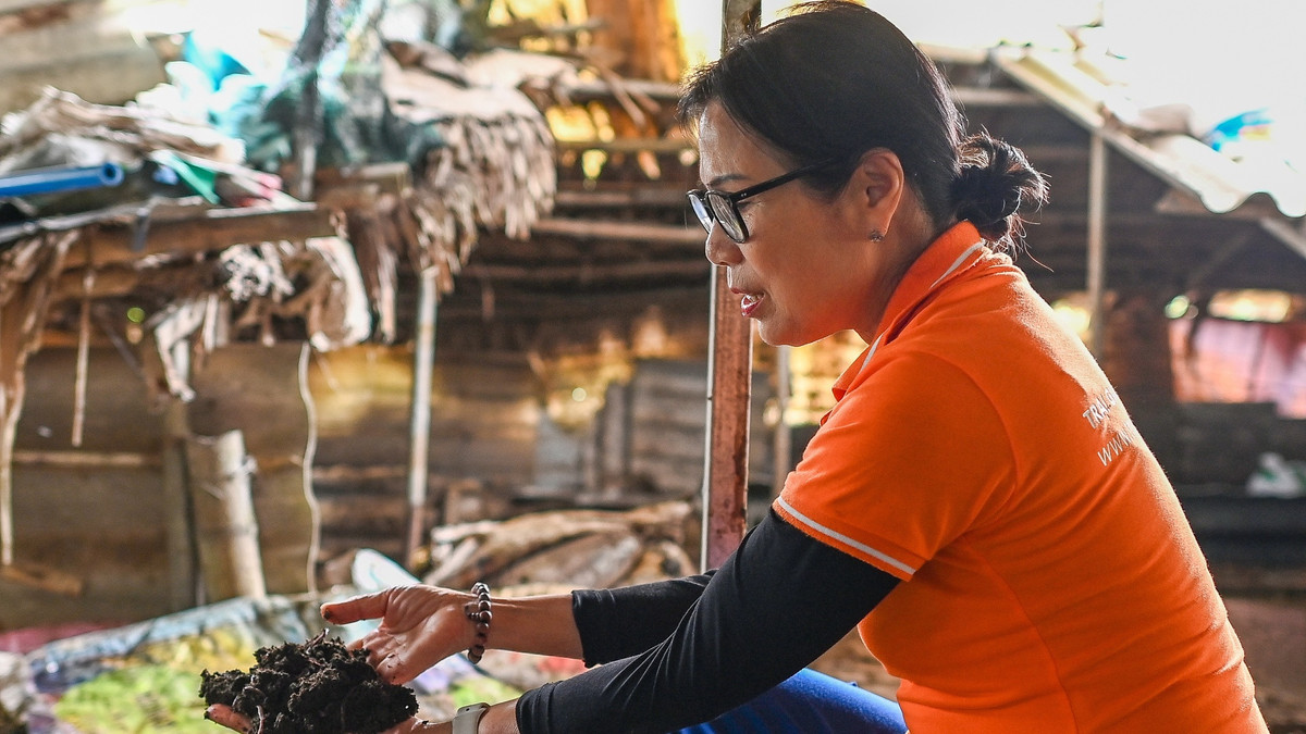 Cái duyên làm nông nghiệp đến với tôi rất tình cờ. Trong một lần vô tình xem được kỹ thuật nuôi giun của chuyên gia Nguyễn Lân Hùng và đọc được tập tài liệu do nguyên Phó thủ tướng Nguyễn Công Tạn dịch, tôi quyết định tìm hiểu mô hình nuôi giun quế. Càng ngày tôi càng đam mê với công việc này.