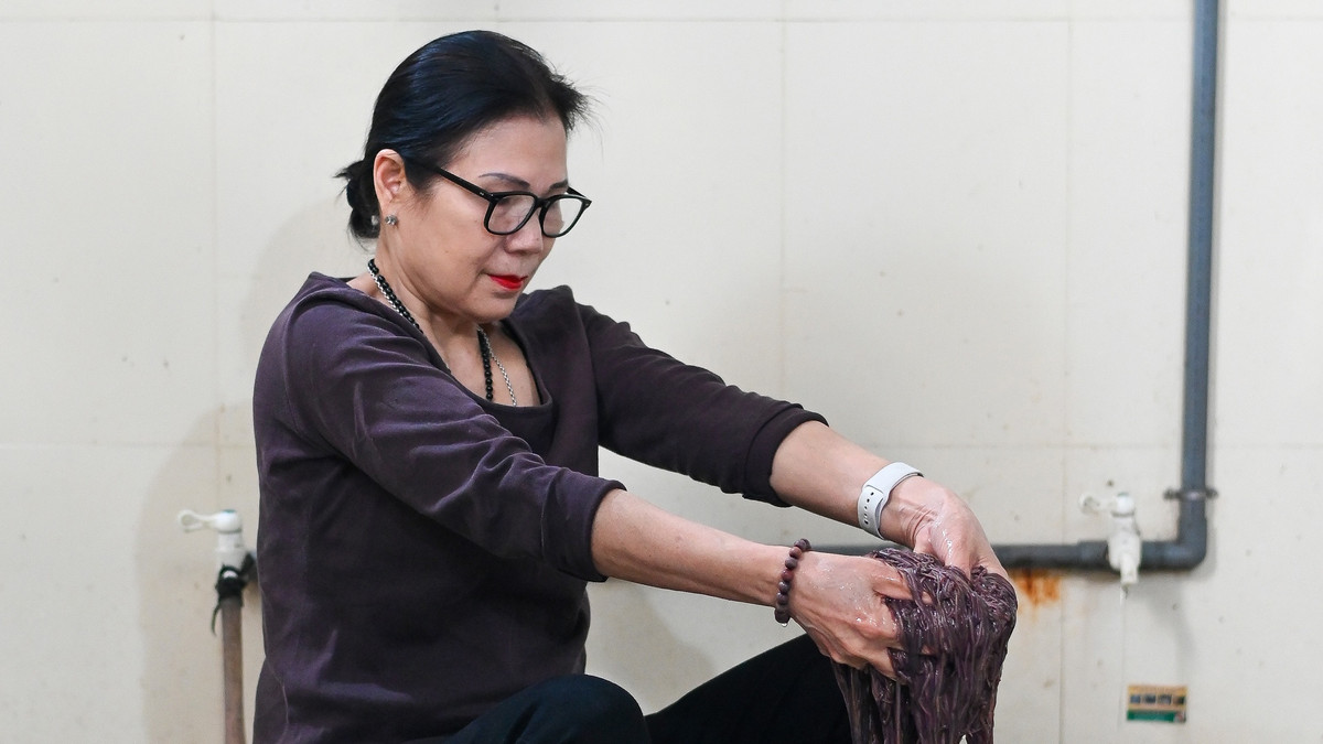 Sau thời gian nuôi khoảng 45 ngày, tôi tiến hành thu hoạch giun. Khi thu hoạch, chỉ cần bốc phân bò vào một tấm bạt bỏ ra ngoài trời nơi có nhiều ánh sáng, giun sẽ chui hết xuống dưới vì ưa bóng tối. Những con giun to gần bằng đầu đũa, dài khoảng 20 cm được mang đi rửa sạch.