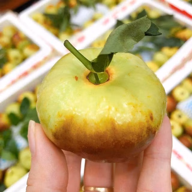 Phien ban tuoi cua tao tau gay sot thi truong-Hinh-4