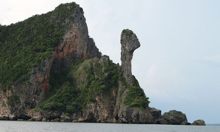 Nhung kiet tac thien nhien ki vi mang hinh dang dong vat-Hinh-21