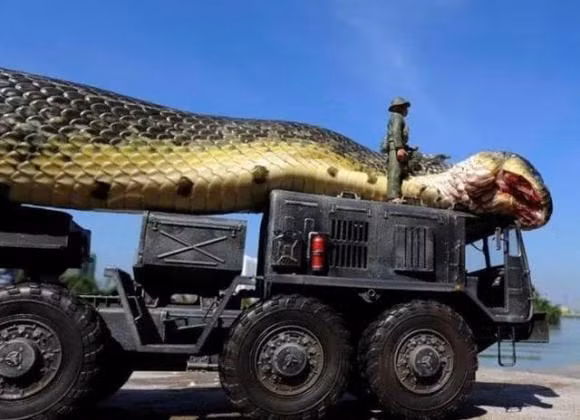 Con tran lon nhat the gioi tung duoc phat hien co kich thuoc bao nhieu?-Hinh-4