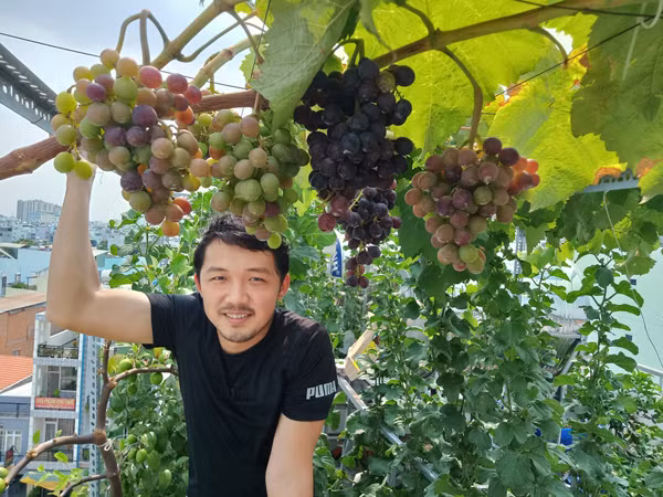 Chi 20 trieu, nguoi dan ong bien san thuong thanh vuon cay triu qua quanh nam