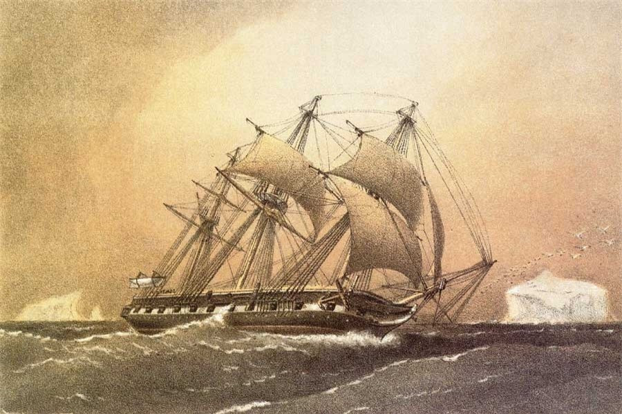 Sự thật có thể bạn chưa biết về rãnh Mariana, nơi sâu nhất trên Trái đất ảnh 6