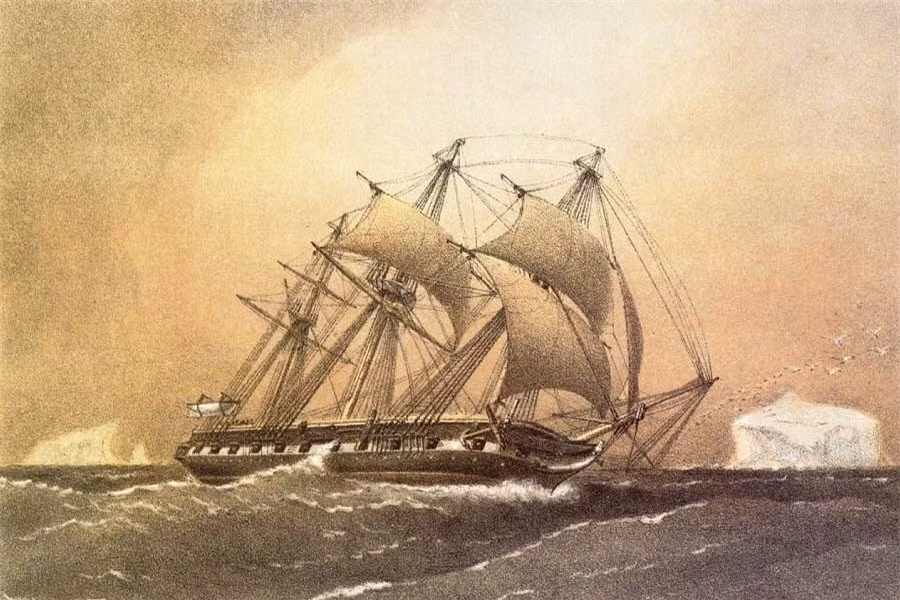 Sự thật có thể bạn chưa biết về rãnh Mariana, nơi sâu nhất trên Trái đất ảnh 6