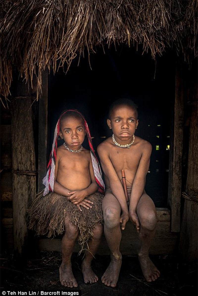 Cuộc sống của người Dani lần đầu tiên được phương Tây biết đến khi nhà thiện nguyện người Mỹ Richard Archbold tình cờ phát hiện ra họ trong một chuyến đi vào năm 1938.