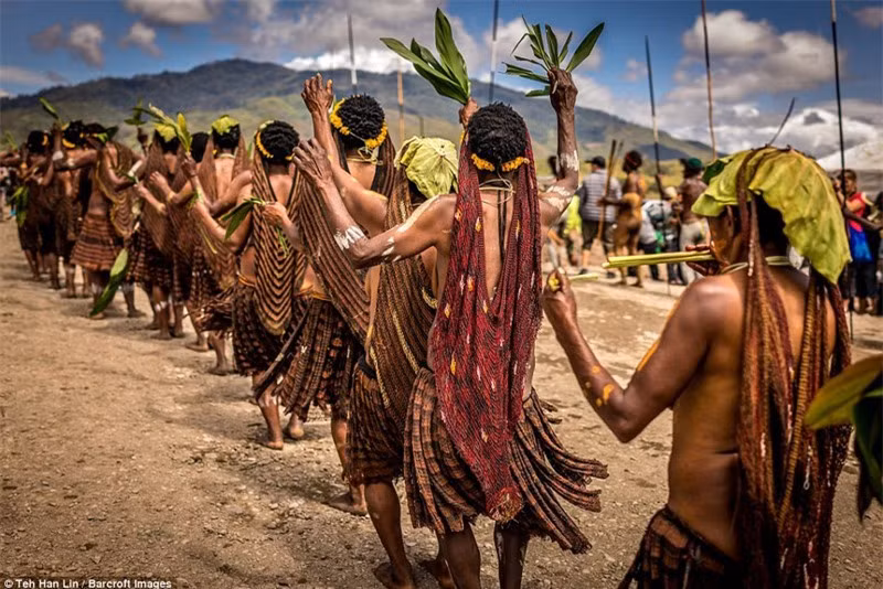 Vào tháng 8 hàng năm, người Dani tổ chức lễ hội Baliem, gọi theo tên vùng thung lũng nơi họ cư trú. Lễ hội có sự tham gia của những bộ lạc lân cận gồm Yali và Lani. Tại đây các chiến binh giỏi nhất của mỗi bộ lạc sẽ tham gia đánh trận giả để thể hiện những nét đặc trưng nhất trong văn hóa của họ.