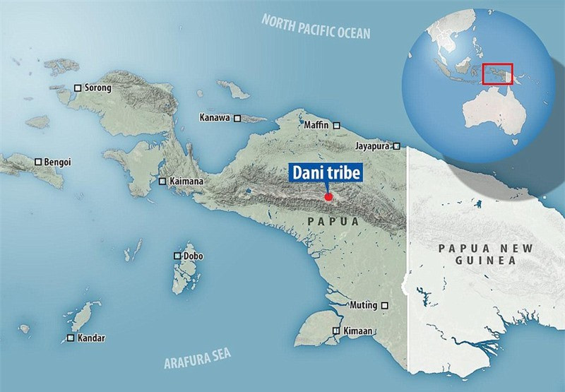 Bộ lạc Dani sống ở vùng núi tỉnh Papua tại phía tây đảo New Guinea (phần thuộc Indonesia), giáp ranh với Nhà nước Độc lập Papua New Guinea ở phía đông. Đây là hòn đảo lớn thứ hai thế giới sau đảo Greenland của Đan Mạch. Đồ họa: Daily Mail. 