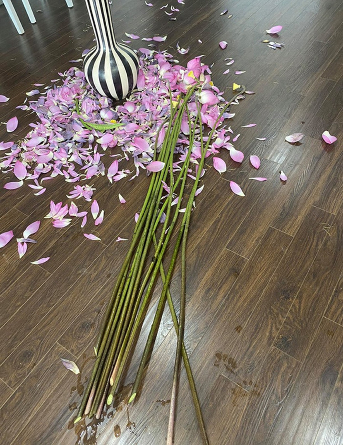 Để cắm bình hoa sen "chân dài" không khó vì cành sen tuy cao nhưng rất cứng cáp, không bị cong hay rủ xuống. Bình sen tươi có thể chơi được vài ngày.