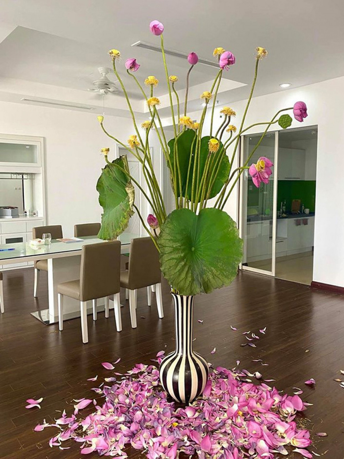 Để có được những cành sen dài như thế này phải nhờ người cắt ở vùng nước sâu của Hồ Tây.