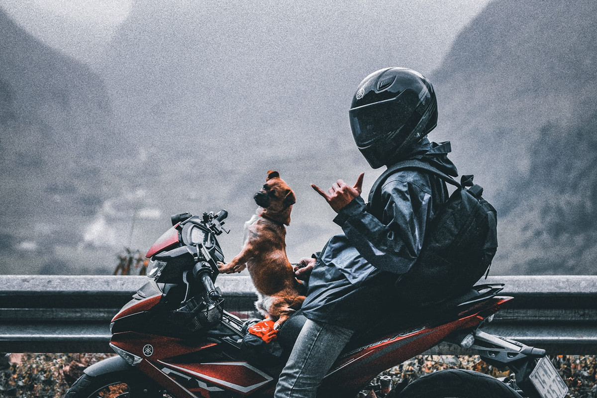 Chu dua cho cung di phuot xuyen Viet bang xe may