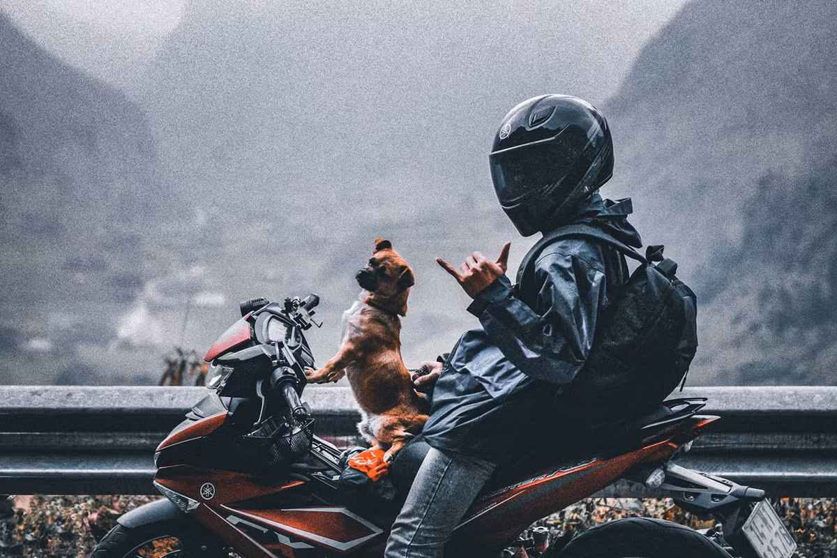 Chu dua cho cung di phuot xuyen Viet bang xe may