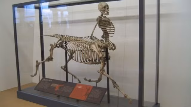 7 sinh vat nua nguoi nua thu trong truyen thuyet lieu co ton tai?