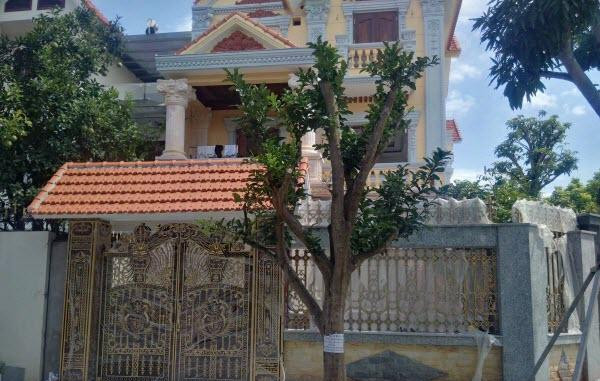 5 loại cây được đại gia chọn để trồng trước cửa nhà - Hình 4 5 loai cay duoc dai gia chon de trong truoc cua nha-Hinh-4