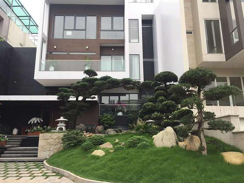 5 loại cây được đại gia chọn để trồng trước cửa nhà - Hình 5 5 loai cay duoc dai gia chon de trong truoc cua nha-Hinh-5