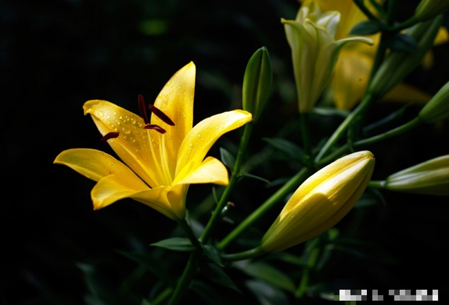 Trẻ sinh vào 4 khung giờ Âm lịch mang đến phước lành cho cha mẹ Tre sinh vao 4 khung gio Am lich mang den phuoc lanh cho cha me