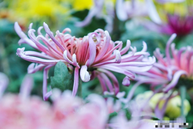 Trẻ sinh vào 4 khung giờ Âm lịch mang đến phước lành cho cha mẹ - Hình 2 Tre sinh vao 4 khung gio Am lich mang den phuoc lanh cho cha me-Hinh-2