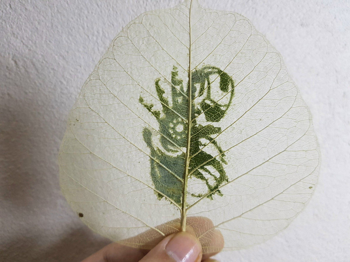 Với loại hình khắc lá, khâu quan trọng lại nằm ở xử lý, sao cho để giữ được nguyên vẹn các đường gân mà vẫn tạo được hình mong muốn. Sau nhiều lần nghiên cứu, Quang Huy rút ra kinh nghiệm là luộc lá để có thể tách diệp lục ra mà không cần chờ ngâm lá 2 tháng như thông thường.