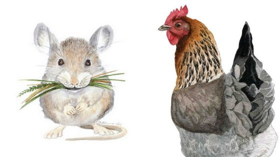 Trong tình cảm, mặc dù Dậu và người ấy đều bận với việc riêng nhưng cả hai vẫn dành thời gian quan tâm đến nhau.