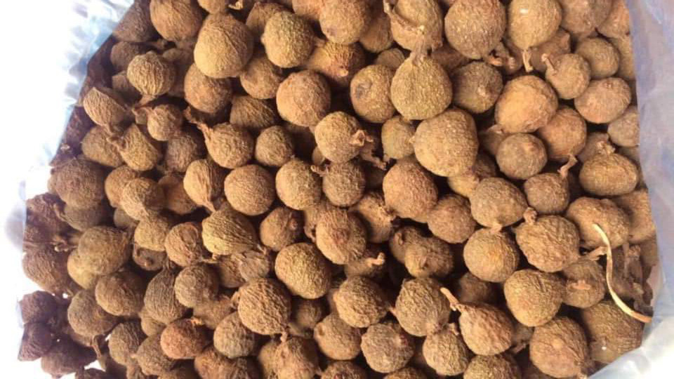 Sung nep: Truoc rung bo di, nay gom ban gia dat do-Hinh-4