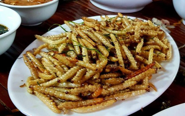 Loại sâu ở Việt Nam ví như đông trùng hạ thảo, giá cao ngất ngưởng - Hình 5 Loai sau o Viet Nam vi nhu dong trung ha thao, gia cao ngat nguong-Hinh-5