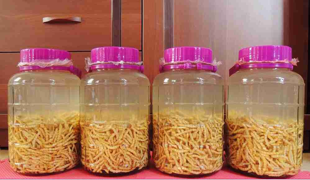 Loại sâu ở Việt Nam ví như đông trùng hạ thảo, giá cao ngất ngưởng - Hình 3 Loai sau o Viet Nam vi nhu dong trung ha thao, gia cao ngat nguong-Hinh-3