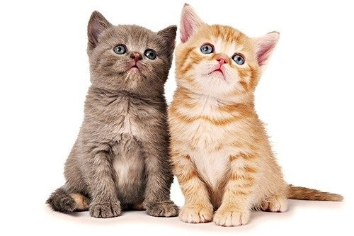 Cuoi nam 2021: 3 con giap nhan loc troi ban, tien bac chay ve ket