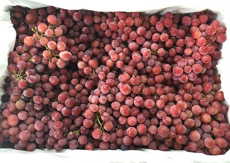 Chuyen chua tung co, hang VIP Au - My do ra cho, gia sieu re-Hinh-3