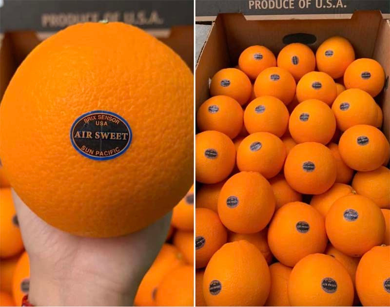 Chuyen chua tung co, hang VIP Au - My do ra cho, gia sieu re-Hinh-2