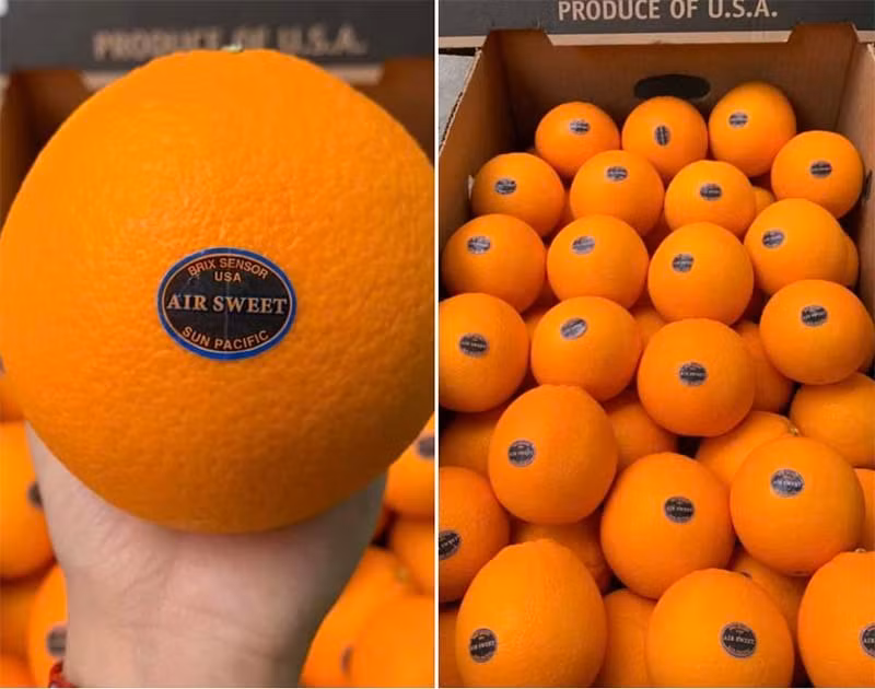 Chuyen chua tung co, hang VIP Au - My do ra cho, gia sieu re-Hinh-2