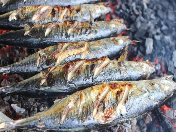 8 loại cá giàu omega-3 bậc nhất, tốt cho trí não, càng ăn càng thông minh ảnh 3 8 loại cá giàu omega-3 bậc nhất, tốt cho trí não, càng ăn càng thông minh ảnh 3