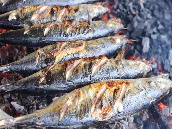 8 loại cá giàu omega-3 bậc nhất, tốt cho trí não, càng ăn càng thông minh ảnh 3