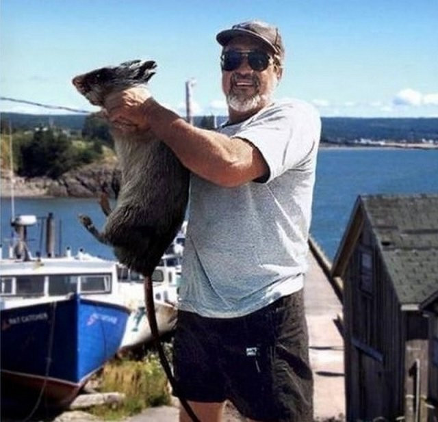 Kỳ lạ hòn đảo khiến ai cũng cao hơn khi sống ở đây - Hình 3 Ky la hon dao khien ai cung cao hon khi song o day-Hinh-3