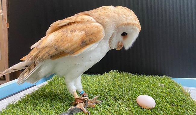 Cu duc de trung khien nhan vien het hon