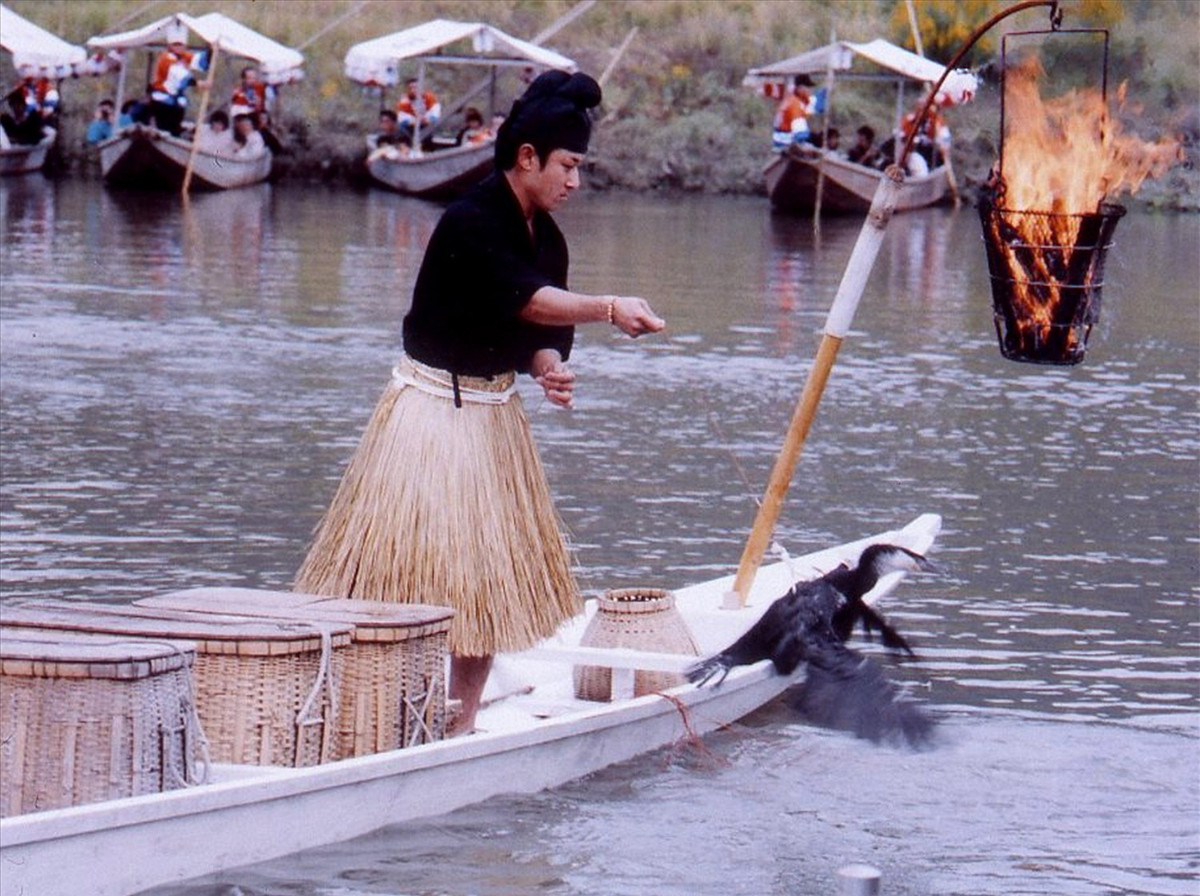 Kham pha nghe danh bat ca bang chim coc o Nhat Ban-Hinh-2