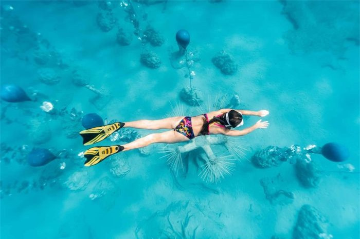 Sinh vật biển ở Địa Trung Hải đã bị giảm sút nghiêm trọng trong 20 năm qua và công trình này nhằm mục đích nhấn mạnh sự cần thiết phải tái tạo các đại dương. Khu rừng điêu khắc hiện được dựng tại dải cát cằn cỗi trong khu bảo tồn biển. Các tác phẩm được làm từ vật liệu trơ có độ pH trung tính, sẽ có thể thu hút các loại động thực vật biển để tạo nên sự đa dạng sinh học cho khu vực này.