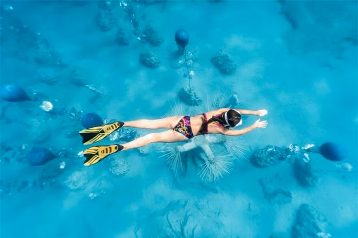 Sinh vật biển ở Địa Trung Hải đã bị giảm sút nghiêm trọng trong 20 năm qua và công trình này nhằm mục đích nhấn mạnh sự cần thiết phải tái tạo các đại dương. Khu rừng điêu khắc hiện được dựng tại dải cát cằn cỗi trong khu bảo tồn biển. Các tác phẩm được làm từ vật liệu trơ có độ pH trung tính, sẽ có thể thu hút các loại động thực vật biển để tạo nên sự đa dạng sinh học cho khu vực này.