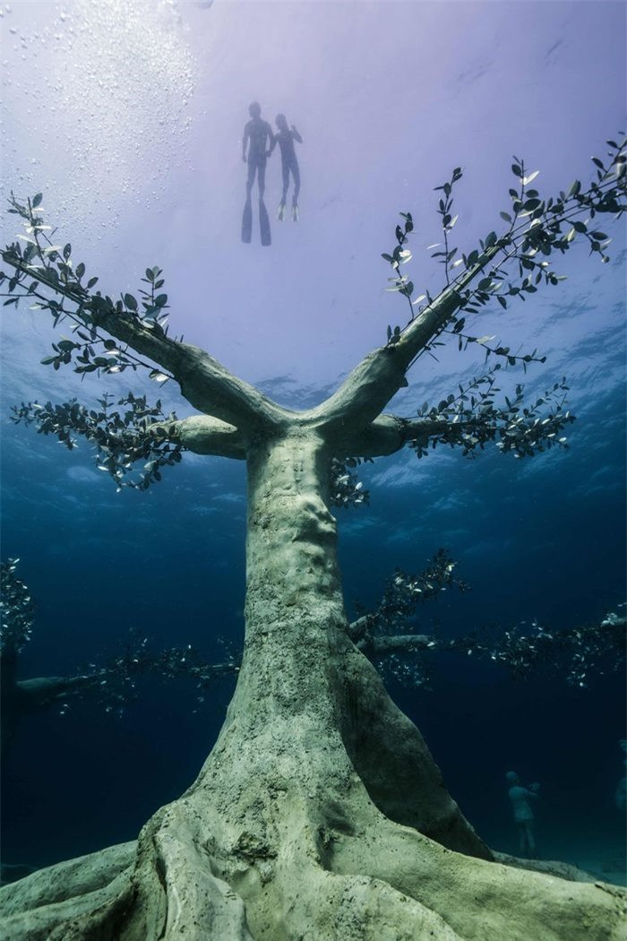 Bảo tàng bao gồm 93 tác phẩm nghệ thuật, tất cả đều xuất hiện dưới dạng cây cối, con người hoặc sự kết hợp của cả hai với chủ đề khám phá "mối quan hệ giữa con người và thiên nhiên". Các tác phẩm nghệ thuật, đặc biệt là những mô hình đại diện cho cây cối (nặng tới 13 tấn), được thiết kế để thu hút sinh vật biển nhằm phát triển sinh cảnh theo cách hữu cơ trên diện rộng.