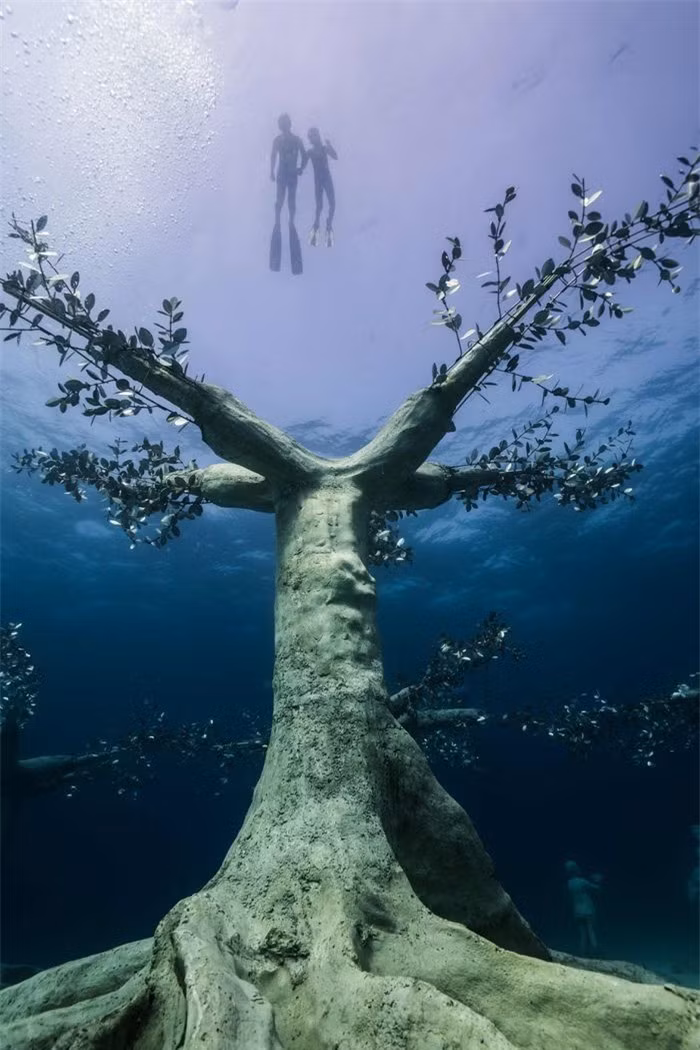 Bảo tàng bao gồm 93 tác phẩm nghệ thuật, tất cả đều xuất hiện dưới dạng cây cối, con người hoặc sự kết hợp của cả hai với chủ đề khám phá "mối quan hệ giữa con người và thiên nhiên". Các tác phẩm nghệ thuật, đặc biệt là những mô hình đại diện cho cây cối (nặng tới 13 tấn), được thiết kế để thu hút sinh vật biển nhằm phát triển sinh cảnh theo cách hữu cơ trên diện rộng.