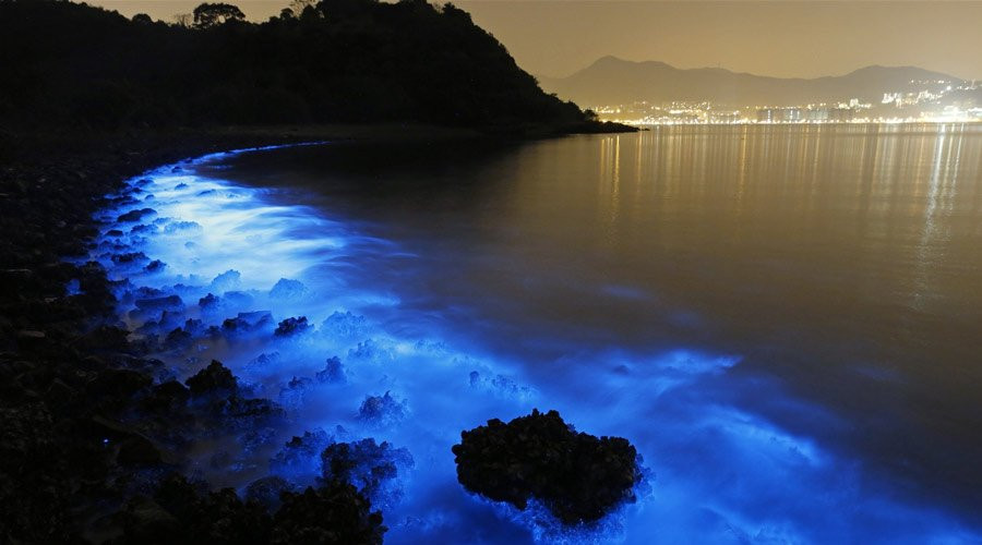 5 bai bien co kha nang phat sang nhu dai ngan ha vao buoi toi