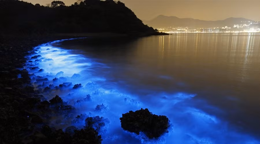 5 bai bien co kha nang phat sang nhu dai ngan ha vao buoi toi