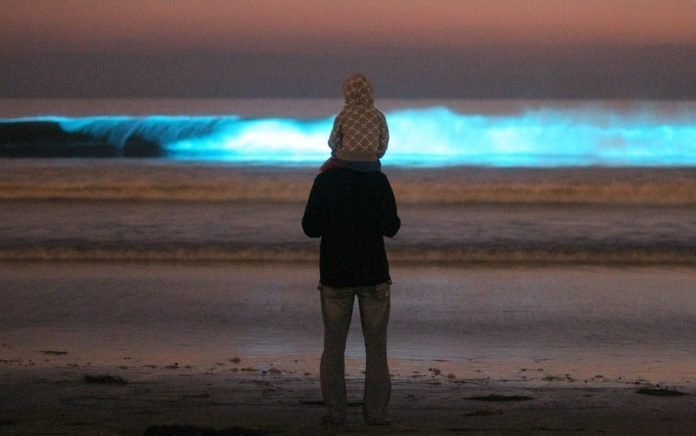 5 bai bien co kha nang phat sang nhu dai ngan ha vao buoi toi-Hinh-4