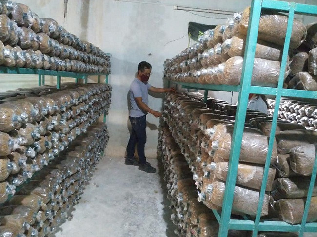 Thay giao co thu nhap them ca tram trieu dong/nam-Hinh-2