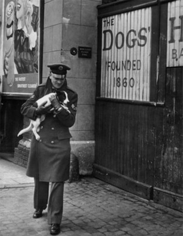 Vụ tàn sát thú cưng kinh hoàng nhất lịch sử nhân loại ảnh 8