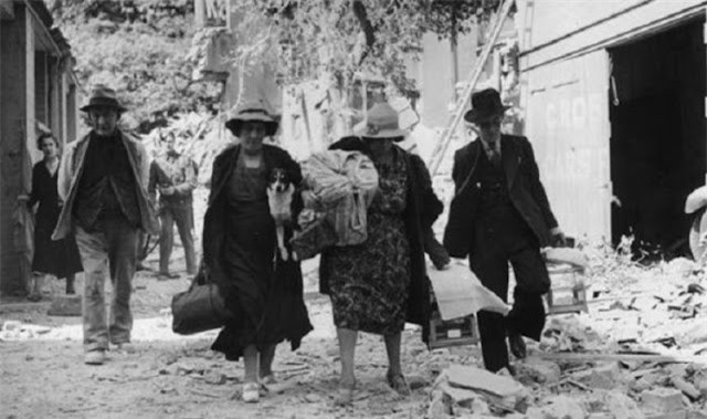 Vụ tàn sát thú cưng kinh hoàng nhất lịch sử nhân loại ảnh 11