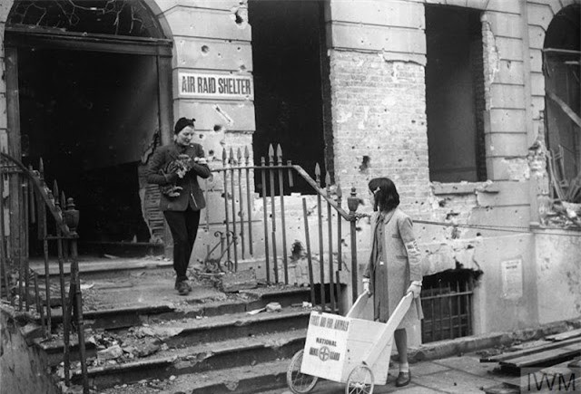 Vụ tàn sát thú cưng kinh hoàng nhất lịch sử nhân loại ảnh 13